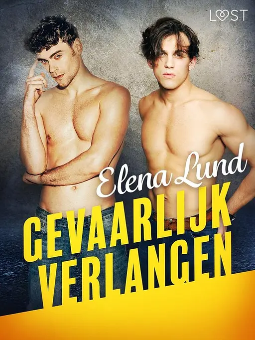 Cover image of Gevaarlijk verlangen 1 - Gevaarlijk verlangen - erotisch verhaal