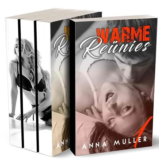 Cover image of Warme Reünies - Erotische Trilogie