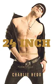 Homo-erotische romans - 24 Inch cover image