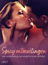 Spicy ontmoetingen: een verzameling van erotische korte verhalen cover image