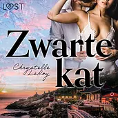 LUST - Zwarte kat – Erotisch verhaal cover image