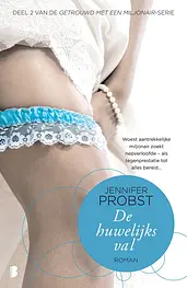 Getrouwd met een miljonair 2 - De huwelijksval cover image