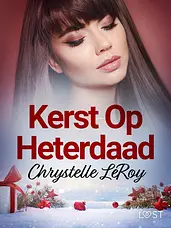 Kerst Op Heterdaad – erotisch verhaal cover image