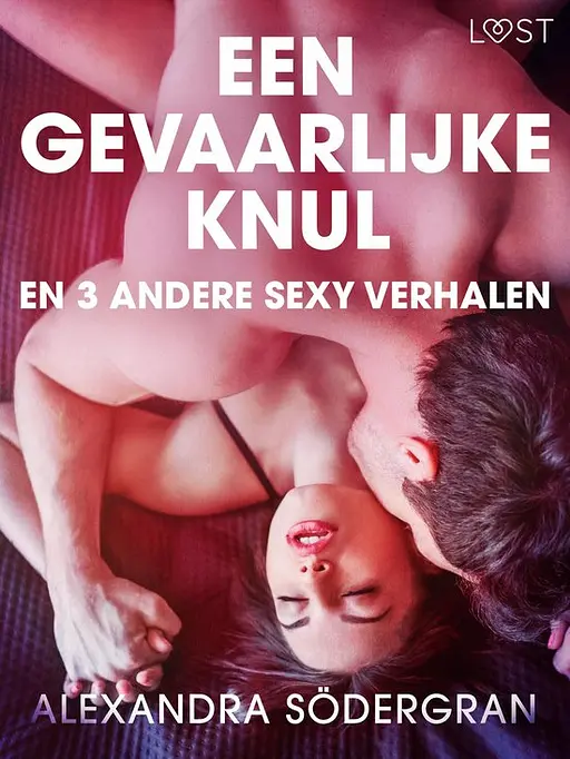 Cover image of Een gevaarlijke knul en 3 andere sexy verhalen