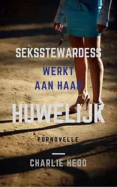 Overspel en bedrog van de seksstewardess - Seksstewardess werkt aan haar Huwelijk cover image