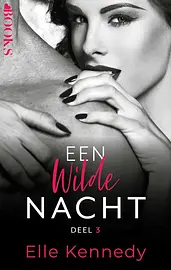 Sin 3 - Een wilde nacht cover image