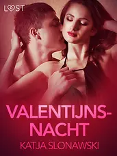LUST - Valentijnsnacht - erotisch verhaal cover image