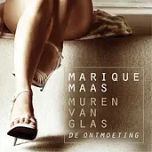 De ontmoeting cover image