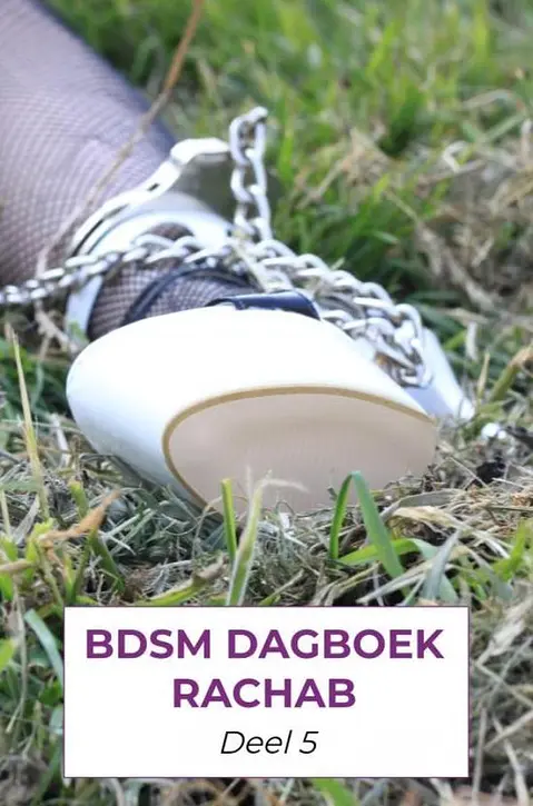 Cover image of BDSM dagboek rachab deel 5