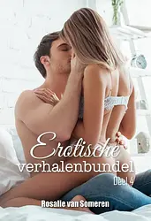 Erotische verhalenbundel 4 - Erotische verhalenbundel cover image