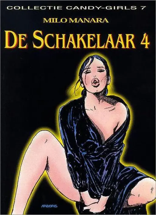 Cover image of De schakelaar 4