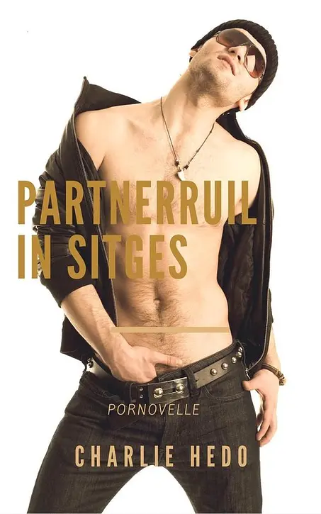 Cover image of Homo-erotische romans - Partnerruil in Sitges
