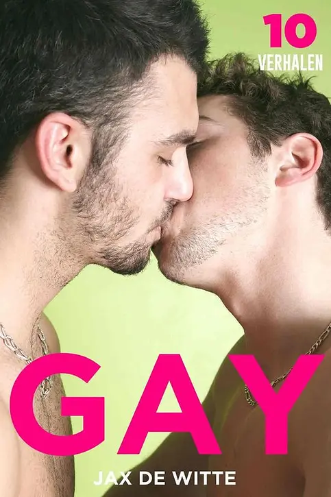 Cover image of 10 Gay Verhalen