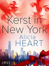 Kerst in New York - erotische verhaal cover image