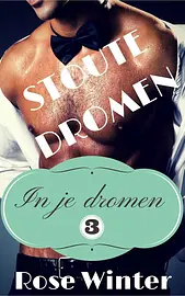 In je dromen 3 - Stoute dromen cover image