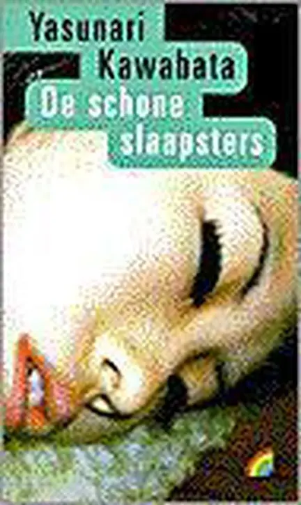 Cover image of De schone slaapsters