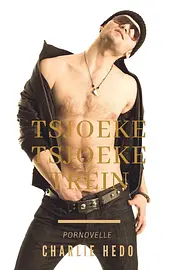 Homo-erotische romans - Tsjoeke Tsjoeke Trein cover image