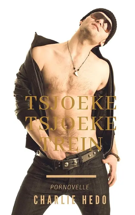 Cover image of Homo-erotische romans - Tsjoeke Tsjoeke Trein