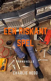 Een Riskant Spel cover image