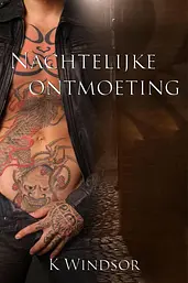 Nachtelijke ontmoeting cover image