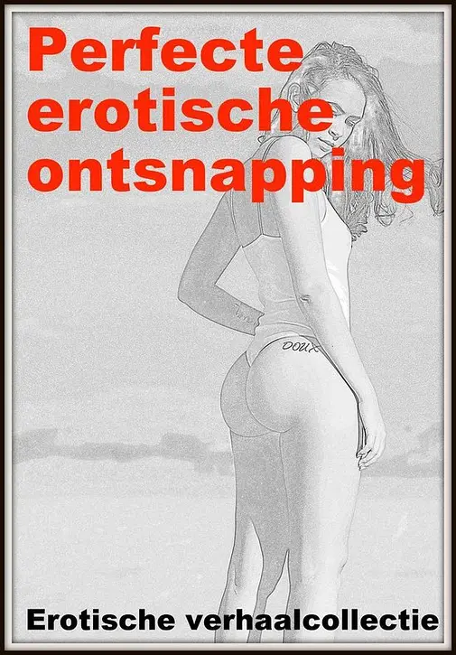 Cover image of PERFECTE EROTISCHE ONTSNAPPING