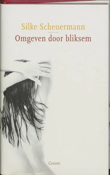 Cover image of Omgeven Door Bliksem