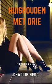 Humoristische en hilarische erotische verhalen - Huishouden Met Drie cover image