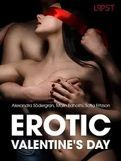 LUST - Erotic Valentine s Day - 5 erotische verhalen cover image