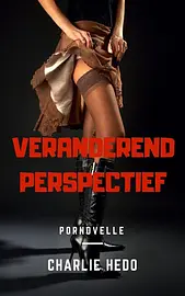 Erotische inhoud - Veranderend Perspectief cover image