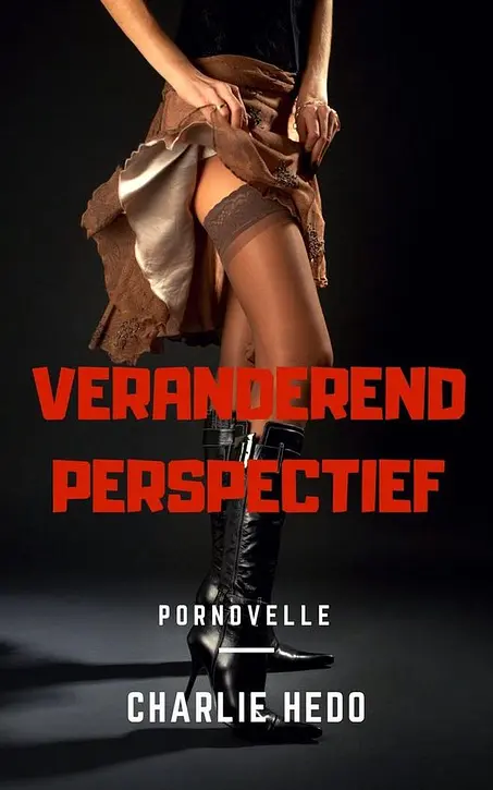 Cover image of Erotische inhoud - Veranderend Perspectief