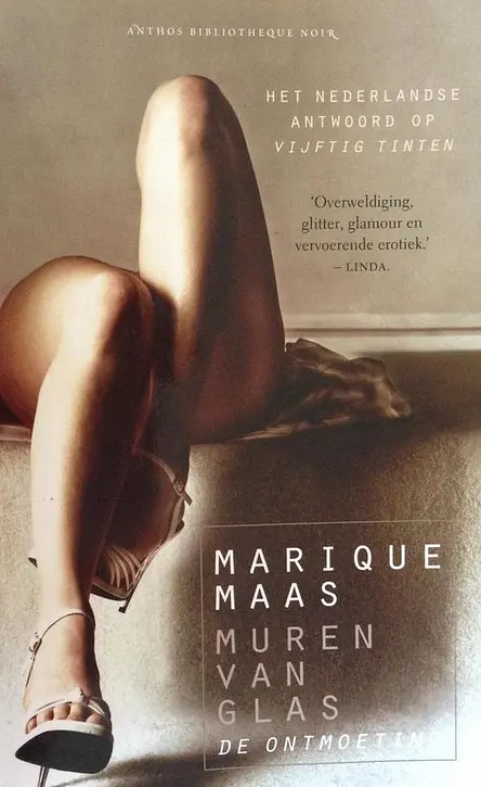 Cover image of Muren van glas De ontmoeting