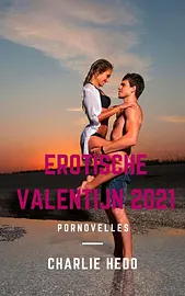 Spannende Kerstmis en Valentijn - Erotische Valentijn 2021 cover image