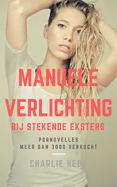 Manuele Verlichting bij Stekende Eksters cover image