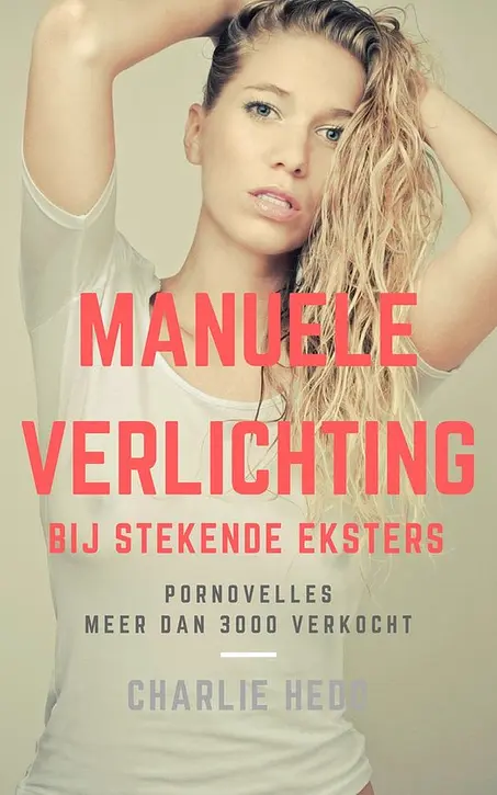 Cover image of Manuele Verlichting bij Stekende Eksters