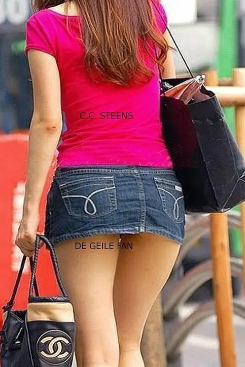 Cover image of De Geile Fan