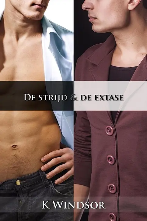 Cover image of De strijd & de extase
