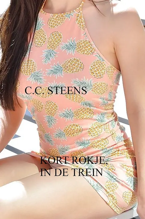 Cover image of Kort Rokje, In De Trein