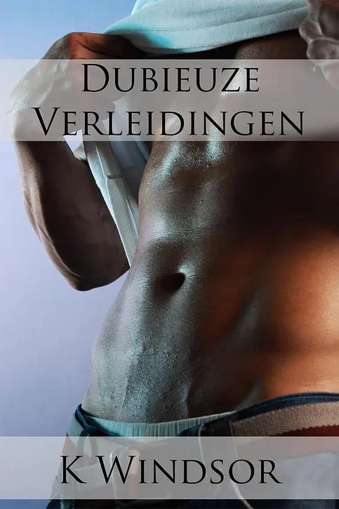 Cover image of Dubieuze verleidingen
