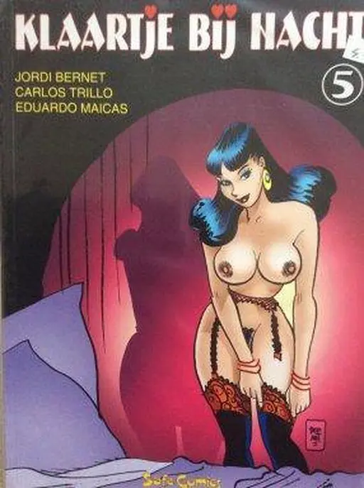 Cover image of Klaartje Bij Nacht 5