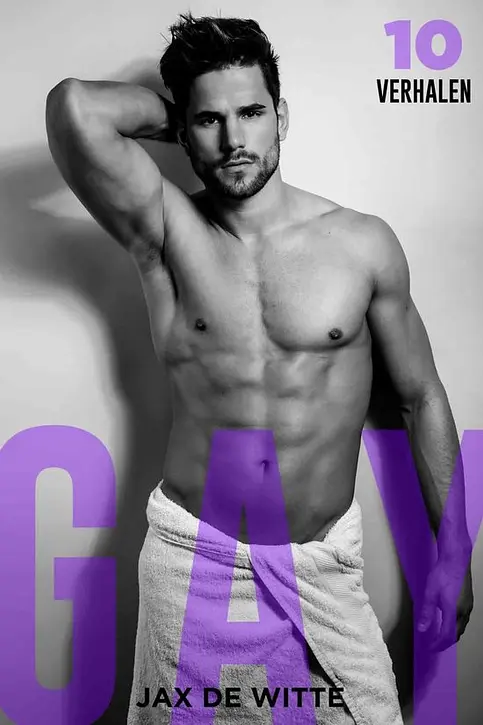 Cover image of 10 Gay Verhalen
