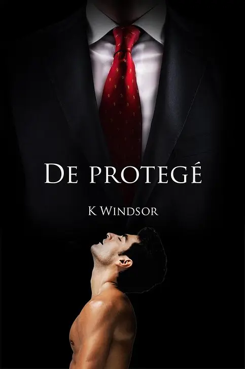 Cover image of De protegé