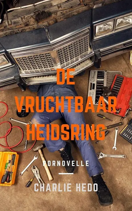 Cover image of De Vruchtbaarheidsring