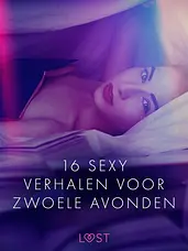 LUST - 16 sexy verhalen voor zwoele avondent cover image