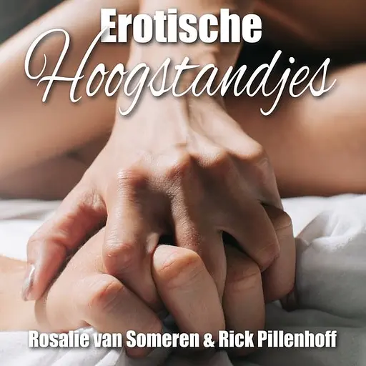 Cover image of Erotische hoogstandjes