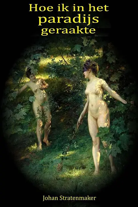 Cover image of Hoe ik in het paradijs geraakte