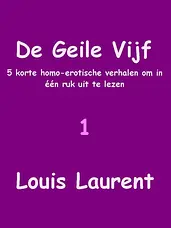 De Geile Vijf cover image