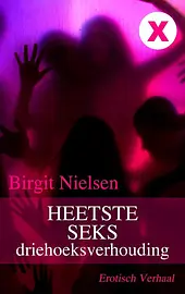 Driehoeksverhouding cover image