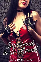 Ingediend in de Avond cover image