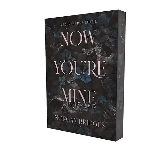 Cover image of Possessing her 2 - Now you're mine