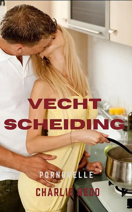 Cover image of Vechtscheiding